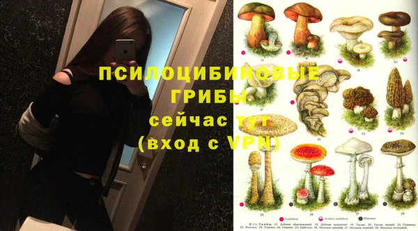 дурь Армянск