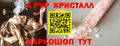герыч Кингисепп