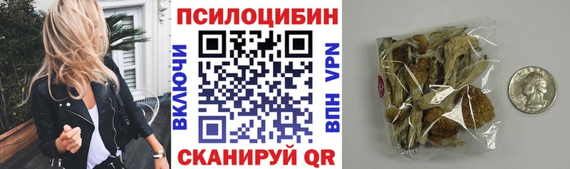 нарко площадка Telegram  Кувандык  Псилоцибиновые грибы Magic Shrooms 